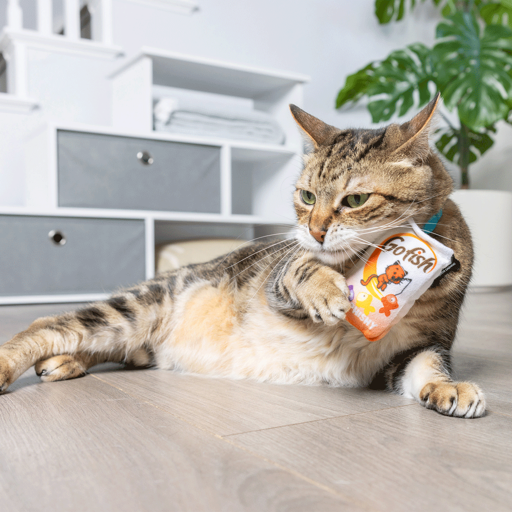 HUXLEY & KENT Cat Go Fish Phishy