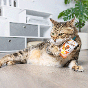 HUXLEY & KENT Cat Go Fish Phishy
