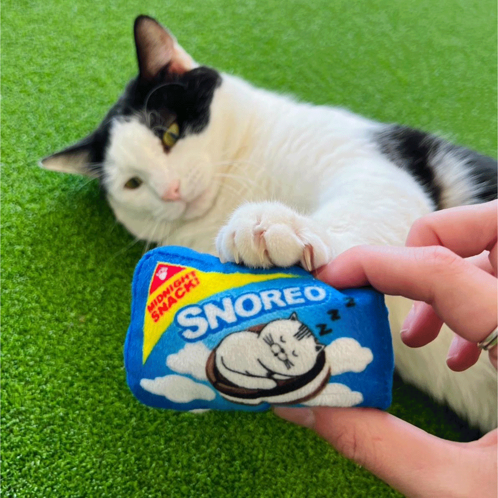 HUXLEY & KENT Cat Snoreo Cookies