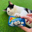 HUXLEY & KENT Cat Snoreo Cookies