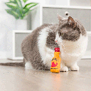 HUXLEY & KENT Cat Hairball Cinnamon Whiskey