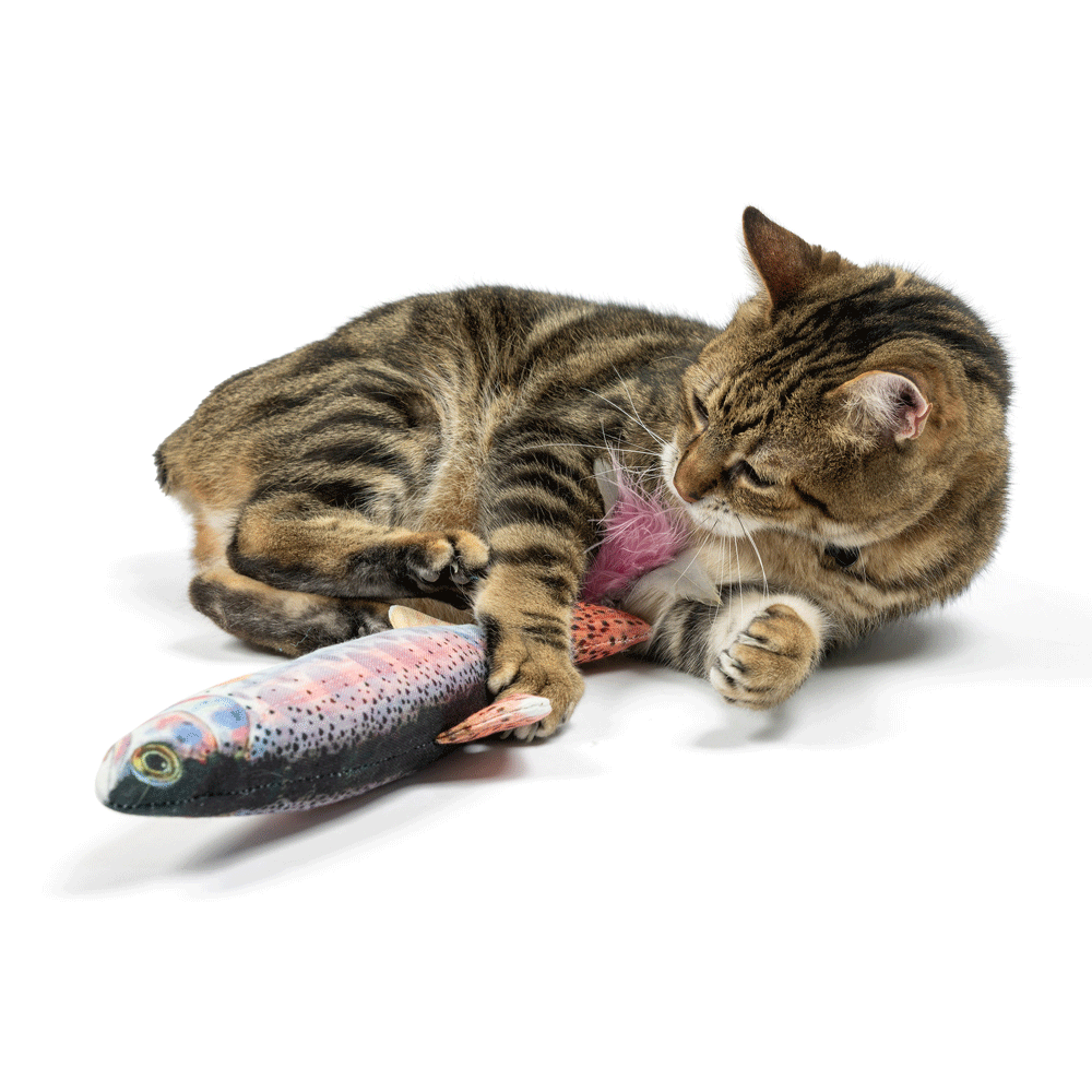HUXLEY & KENT Cat Kicker Rainbow Trout