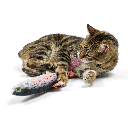 HUXLEY & KENT Cat Kicker Rainbow Trout