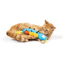 HUXLEY & KENT Cat Kicker Caterpillar