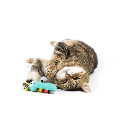 HUXLEY & KENT Cat Caterpillar