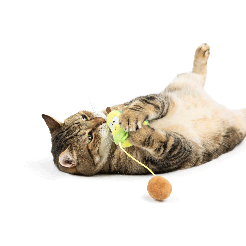 HUXLEY & KENT Cat Popper Avocado