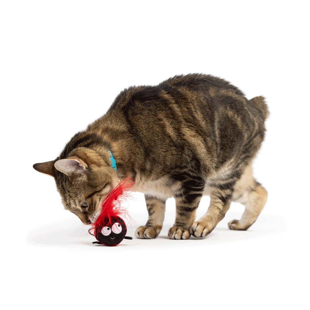 HUXLEY & KENT Cat Flinger Ladybug