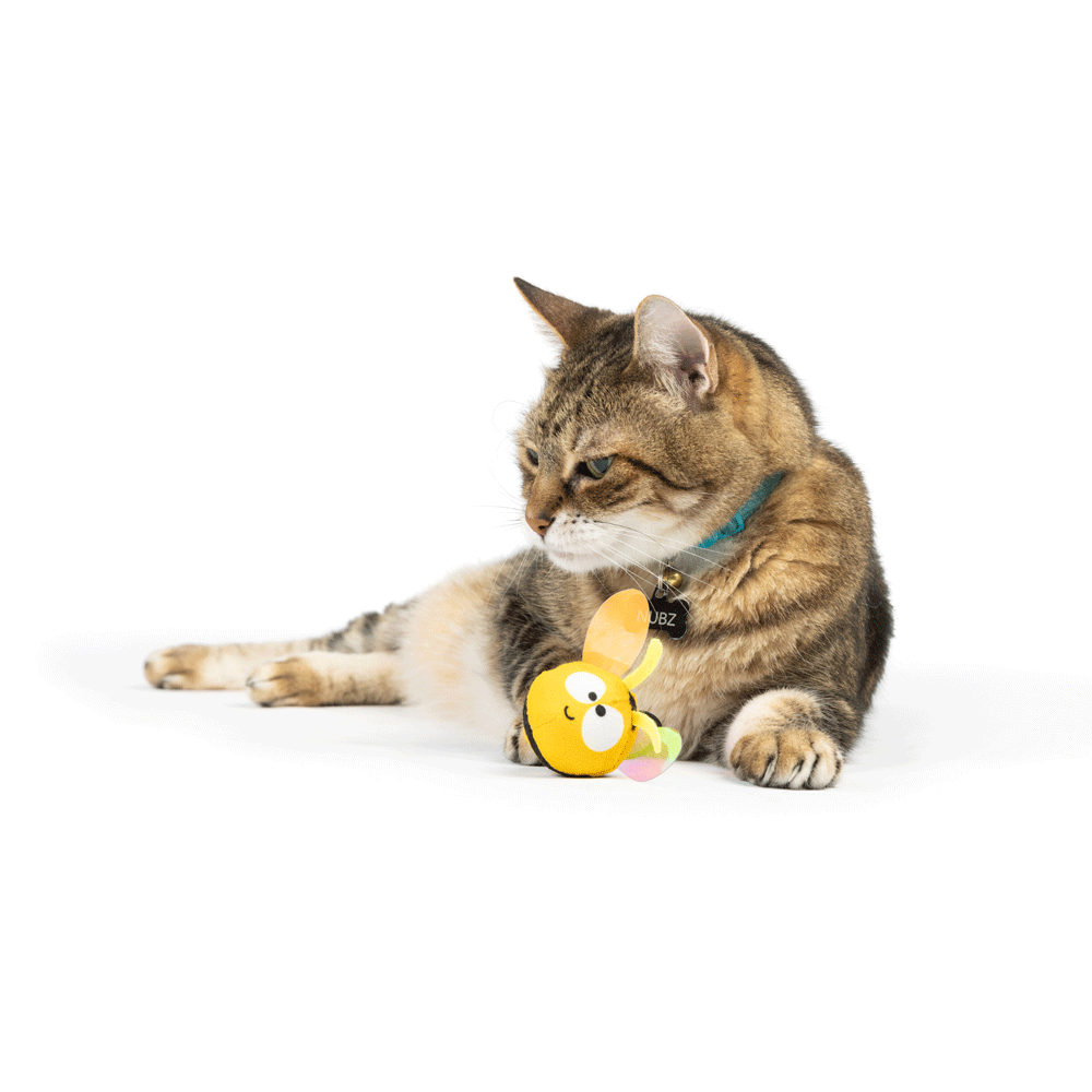 HUXLEY & KENT Cat Flinger Bumble Bee
