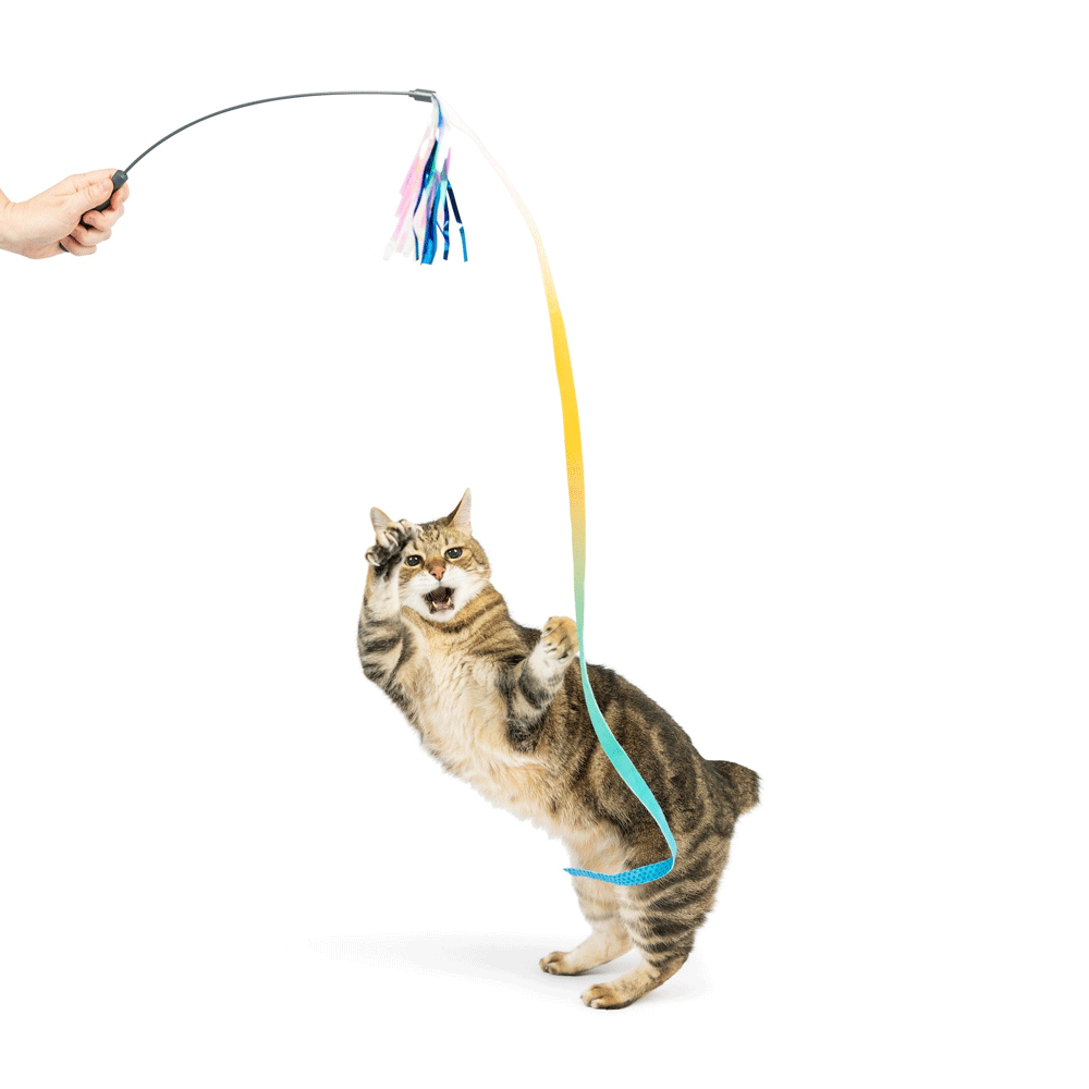 HUXLEY & KENT Cat Wand Dance & Lure Aqua