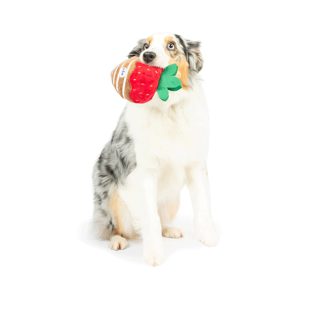 HUXLEY & KENT Dog Power Plush Choc. Strawberry S