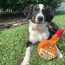 HUXLEY & KENT Dog Power Plush Barker's Mark L