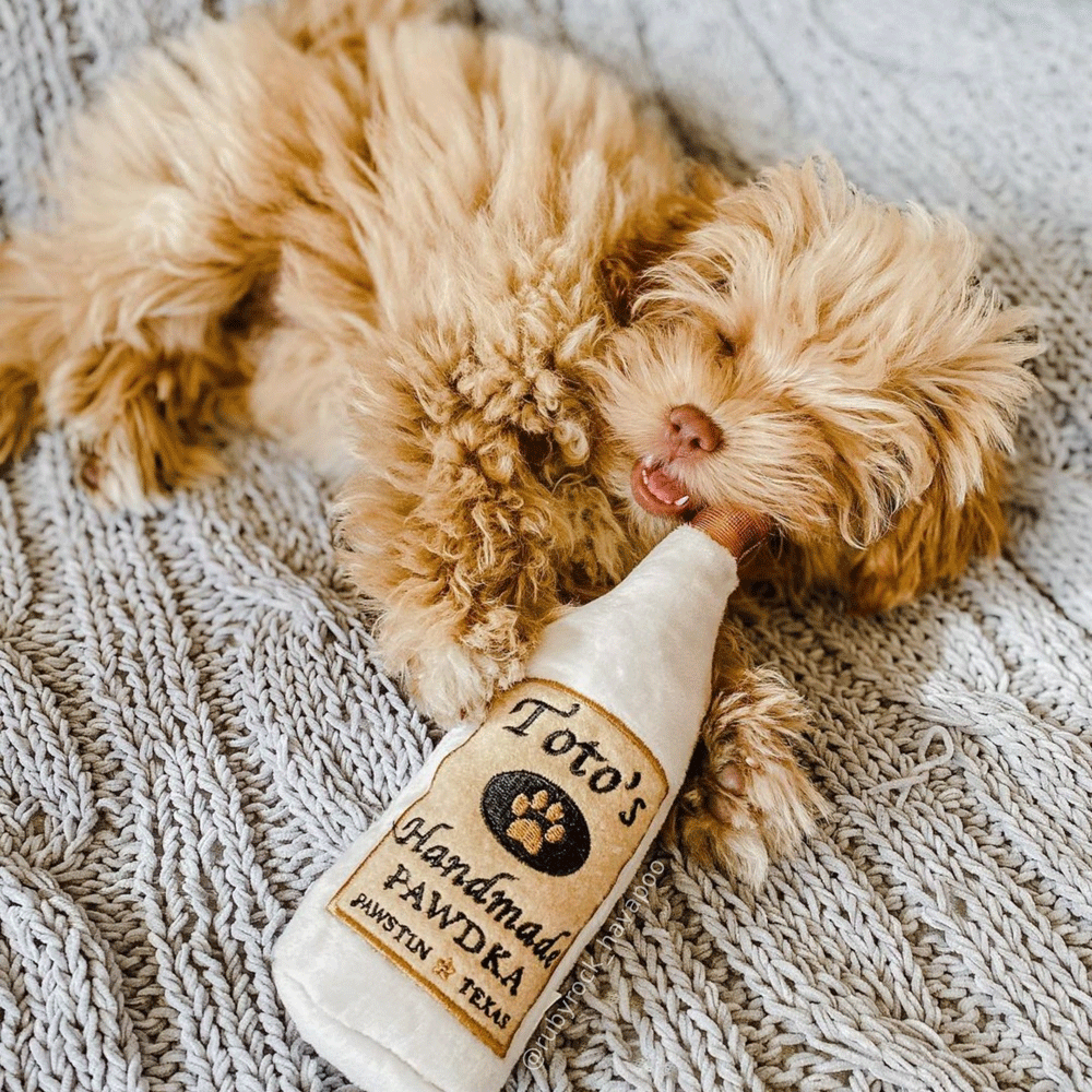 HUXLEY & KENT Dog Power Plush Toto's Pawdka L