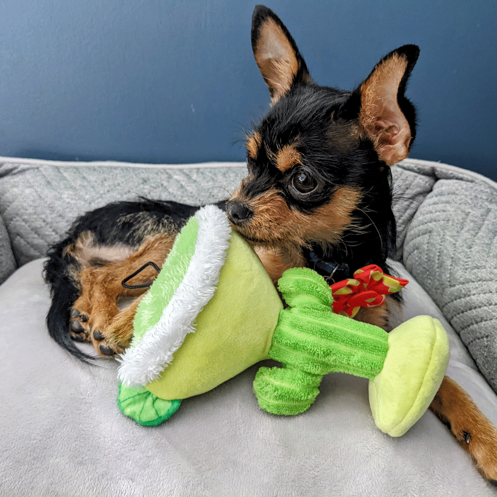 HUXLEY & KENT Dog Power Plush Margarita Loco S
