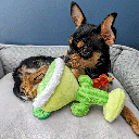HUXLEY & KENT Dog Power Plush Margarita Loco S