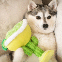 HUXLEY & KENT Dog Power Plush Margarita Loco L