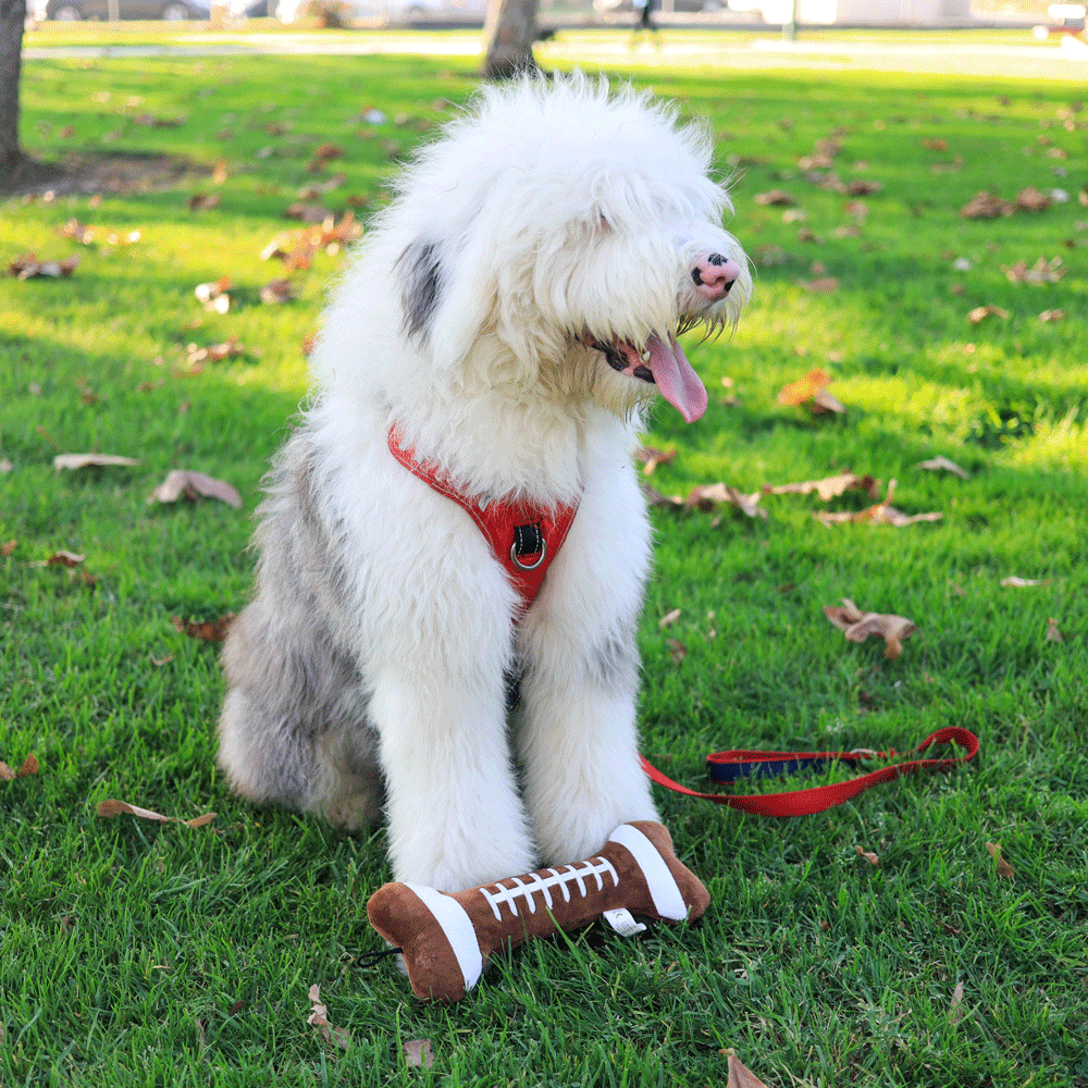 HUXLEY & KENT Dog Power Plush Football Bone S