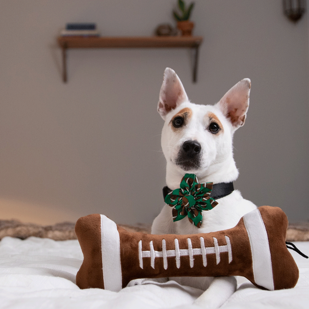 HUXLEY & KENT Dog Power Plush Football Bone L