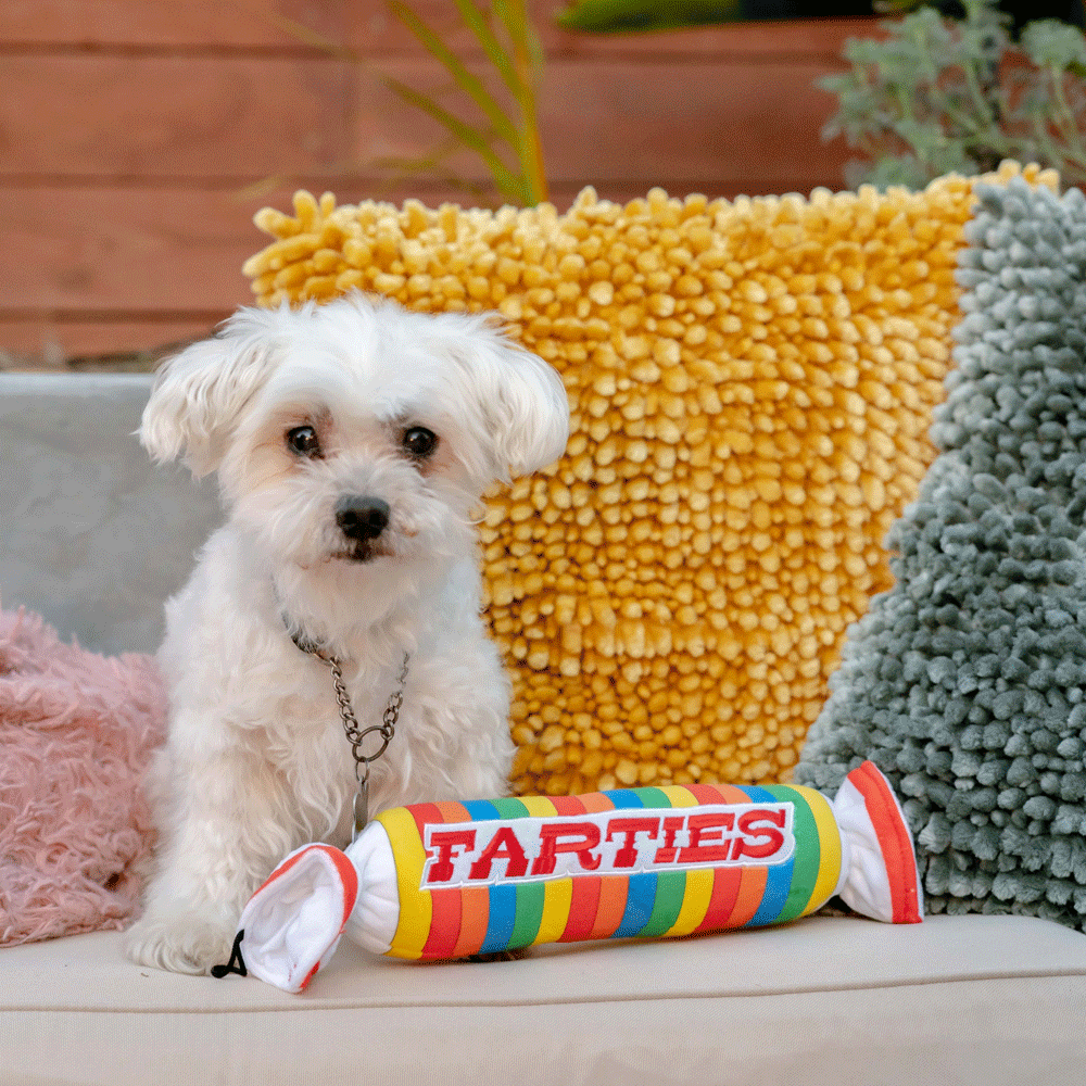 HUXLEY & KENT Dog Power Plush Farties S