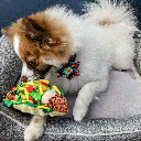 HUXLEY & KENT Dog Power Plush Taco Tuesday S