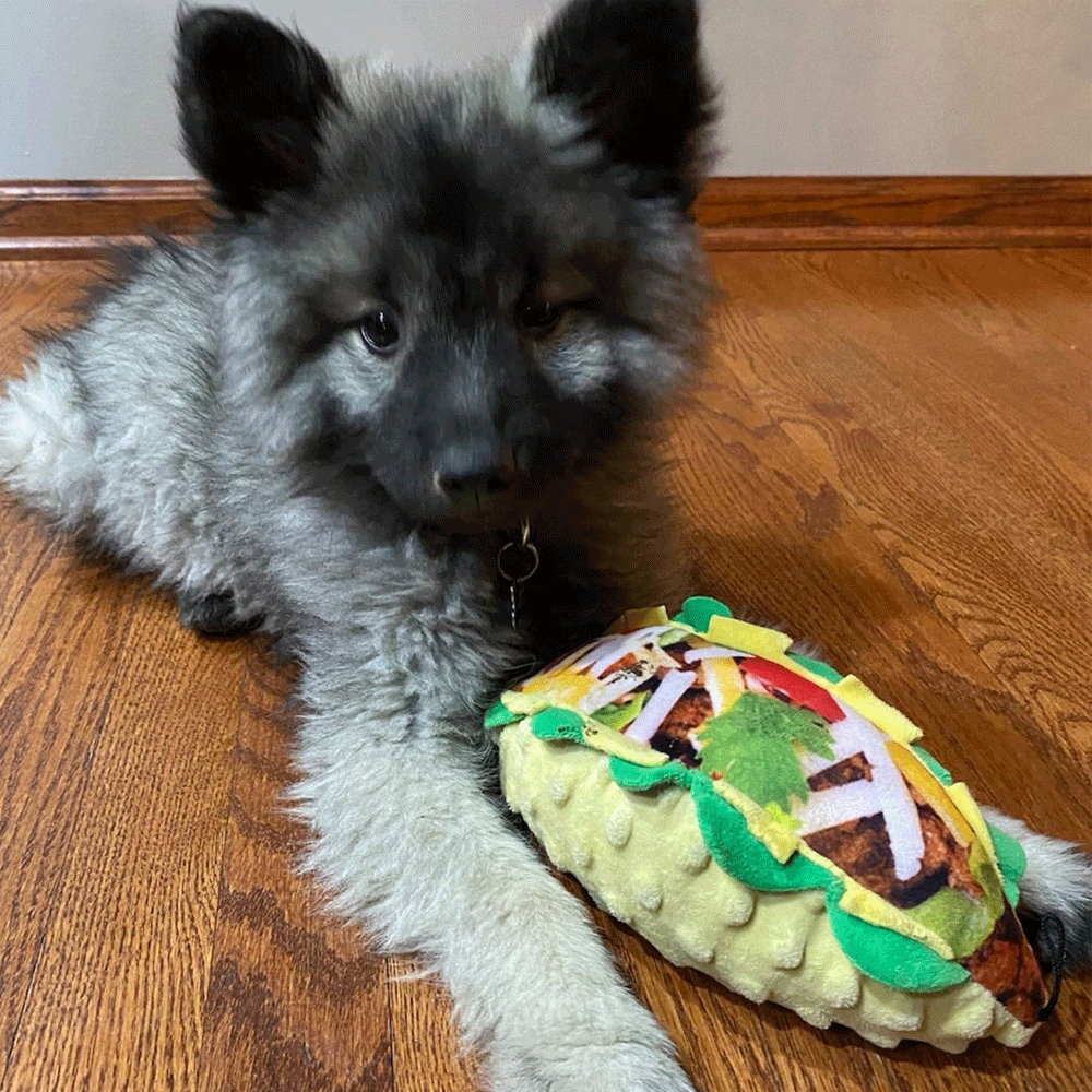 HUXLEY & KENT Dog Power Plush Taco Tuesday L