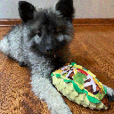 HUXLEY & KENT Dog Power Plush Taco Tuesday L