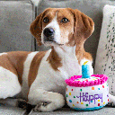 HUXLEY & KENT Dog Power Plush Happy Barkday Cake S