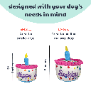 HUXLEY & KENT Dog Power Plush Happy Barkday Cake L