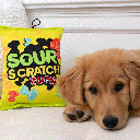 HUXLEY & KENT Dog Power Plush Sour Scratch S