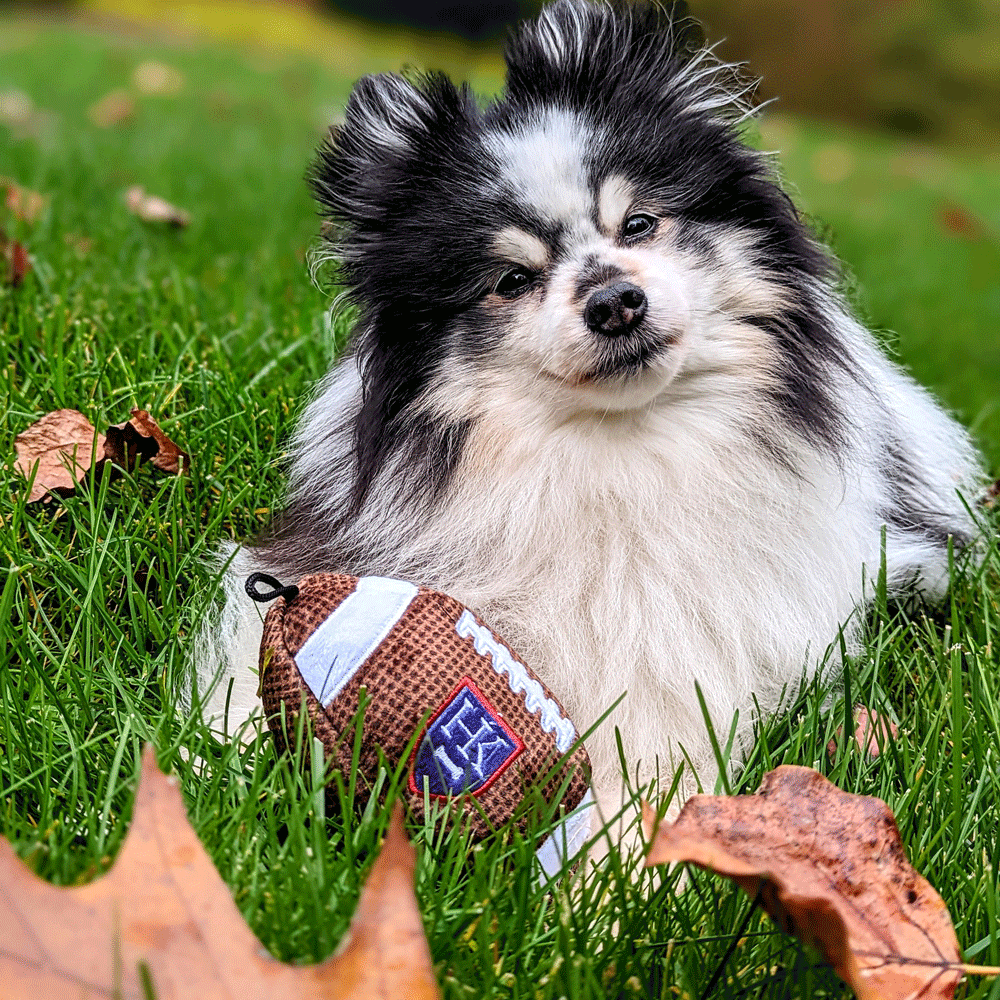 HUXLEY & KENT Dog Power Plush Football S