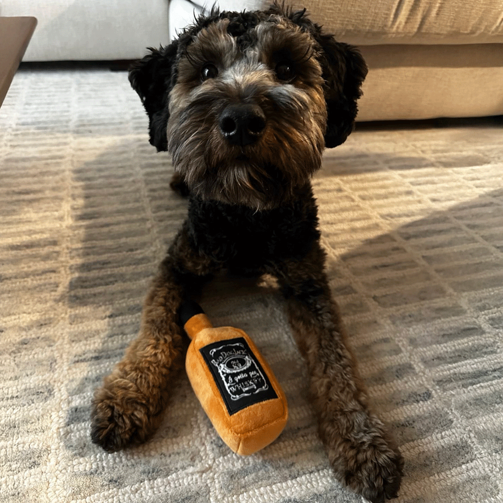 HUXLEY & KENT Dog Power Plush Bad Dog Jack's Whiskey S