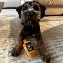 HUXLEY & KENT Dog Power Plush Bad Dog Jack's Whiskey S