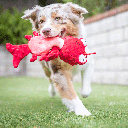 HUXLEY & KENT Dog Slappies Claude Lobster L