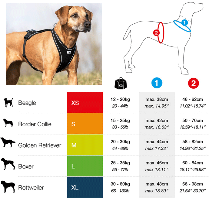 CURLI Belka Comfort Harness Black S