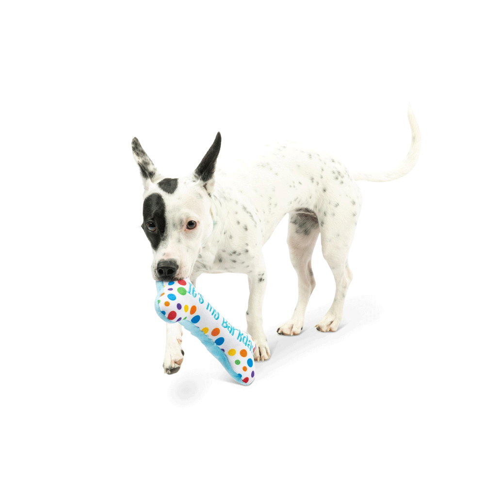 HUXLEY & KENT Dog Power Plush It's My Barkday Bone S