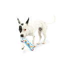 HUXLEY & KENT Dog Power Plush It's My Barkday Bone S