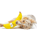 HUXLEY & KENT Dog Fetchies Bruiser Banana S