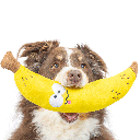 HUXLEY & KENT Dog Fetchies Bruiser Banana L