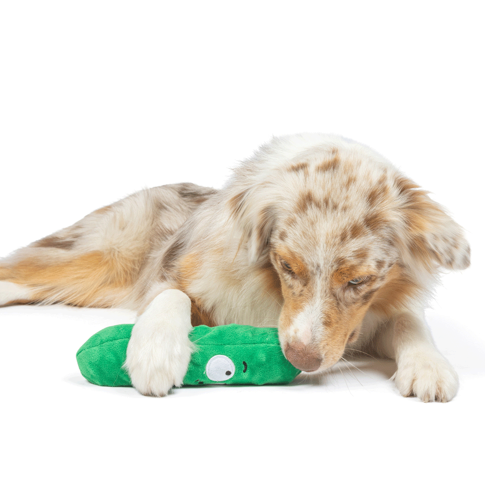HUXLEY & KENT Dog Fetchies Dell Pickle S