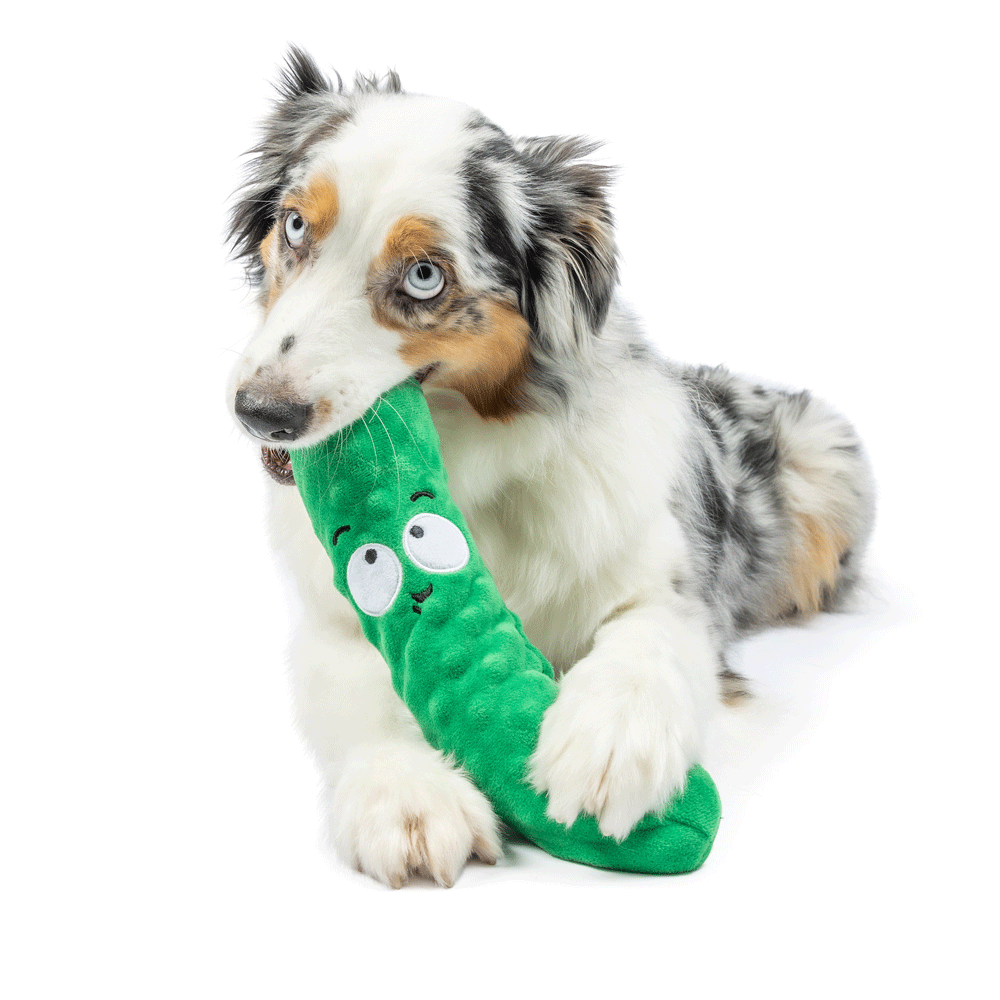 HUXLEY & KENT Dog Fetchies Dell Pickle L