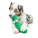 HUXLEY & KENT Dog Fetchies Dell Pickle L