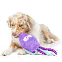 HUXLEY & KENT Dog Slappies Squiggly Squid L