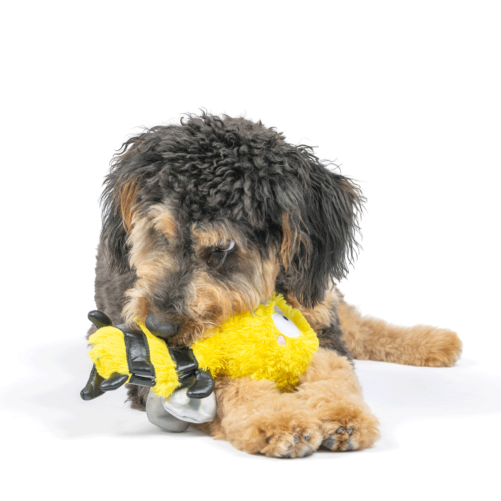 HUXLEY & KENT Dog Slappies Buzz Bee S