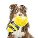 HUXLEY & KENT Dog Slappies Buzz Bee L
