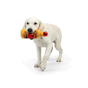 HUXLEY & KENT Dog Power Plush Hairball Cinnamon Whiskey S