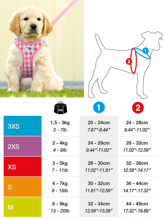 CURLI Puppy Set Pink XS/Leash M