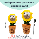 HUXLEY & KENT Dog Seek 'n Treat Sunflower Pawt S