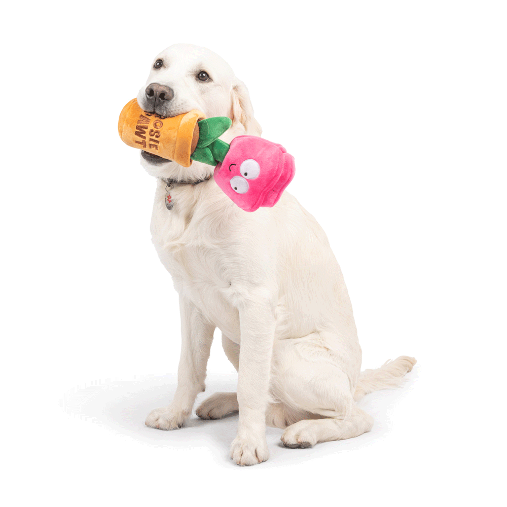 HUXLEY & KENT Dog Seek 'n Treat Rosie Pawt L