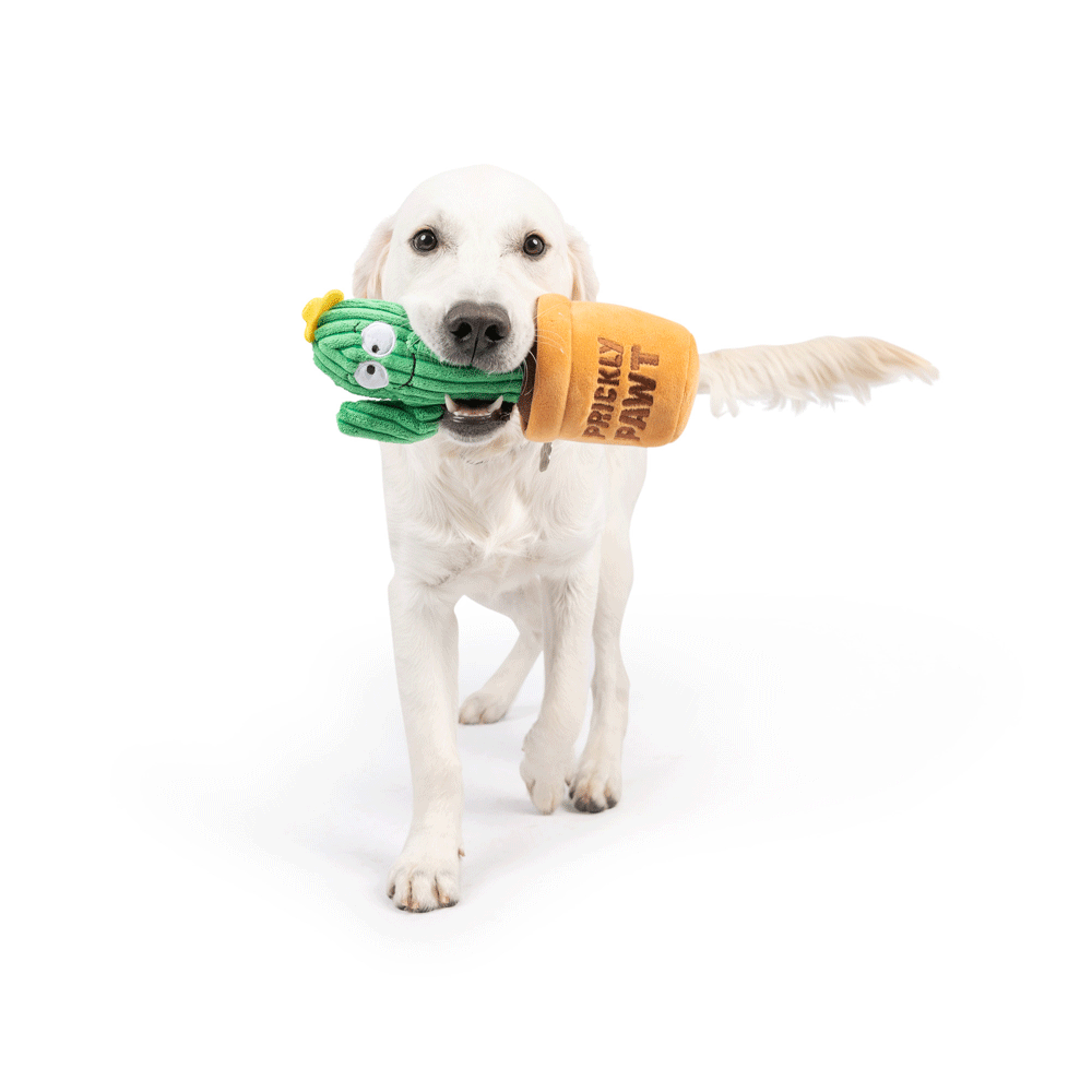 HUXLEY & KENT Dog Seek 'n Treat Prickly Pawt S