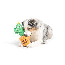 HUXLEY & KENT Dog Seek 'n Treat Prickly Pawt L