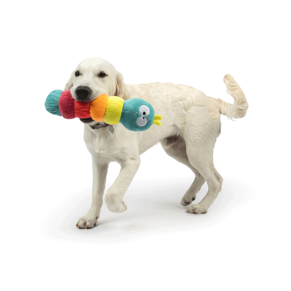 HUXLEY & KENT Dog Fetchies Caterpillar S